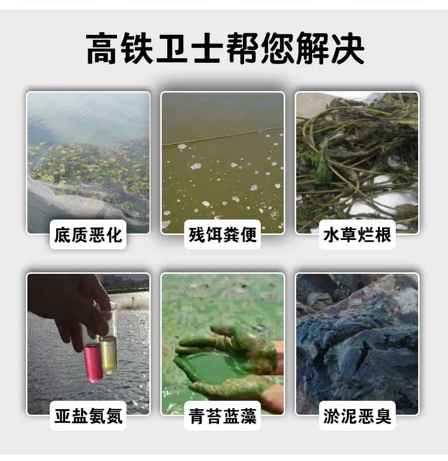 高鐵衛士_02.jpg